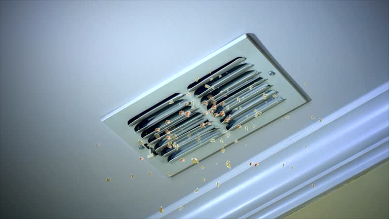 Affordable HVAC Duct Cleaning in Dousman, WI